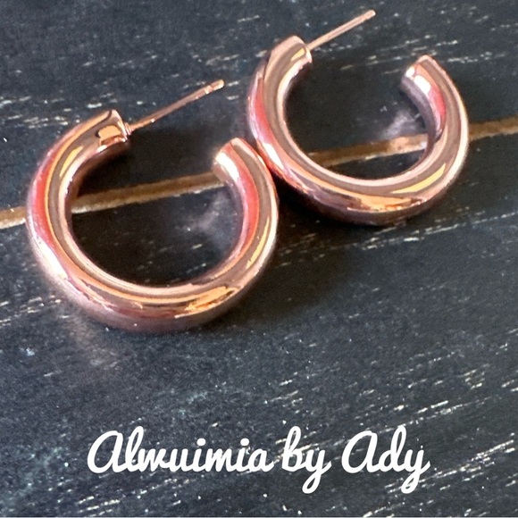Rose Gold Hoop Earrings - Picture 1 of 1